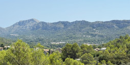Reventa - Land - Vall de Gallinera - Beniali