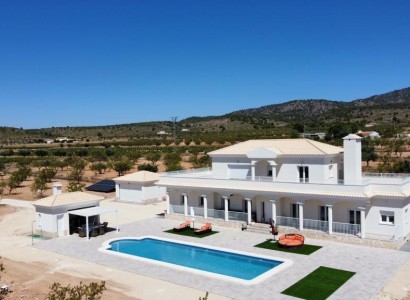 Villa - Nybygg - Pinoso - 26175