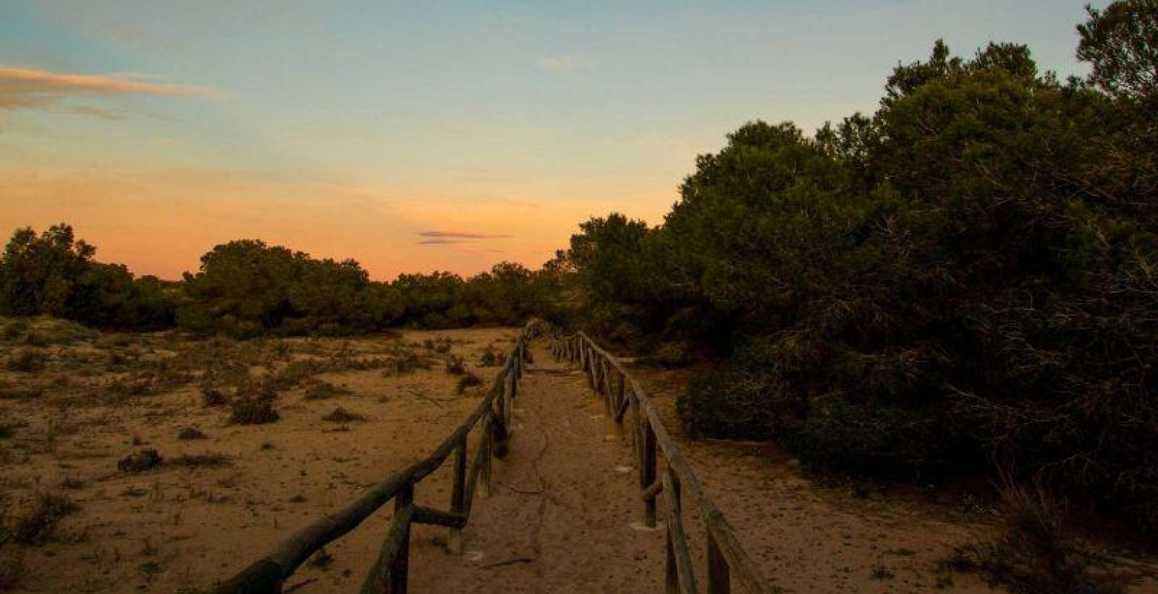 Nybygg - Villa - La marina - La Marina / El Pinet