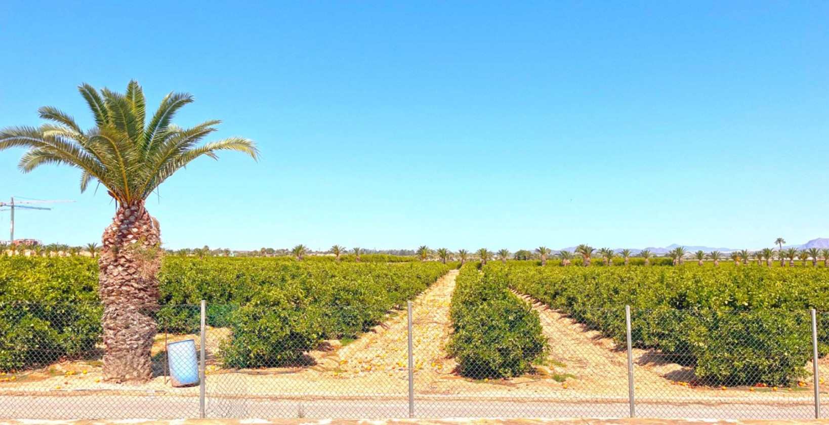 Bruktbolig - Leilighet / leilighet - Torrevieja - Los Balcones - Los Altos del Edén