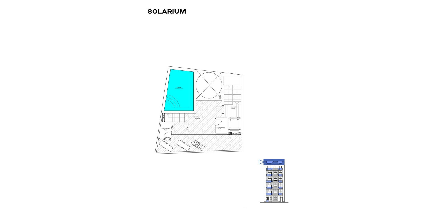 New Build - Apartment / flat - Torrevieja - Playa de los Locos