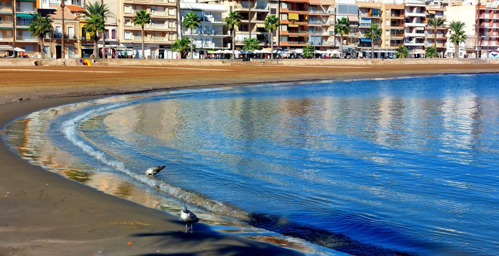 Nybygg - Bungalow - Fuente Álamo - La Pinilla