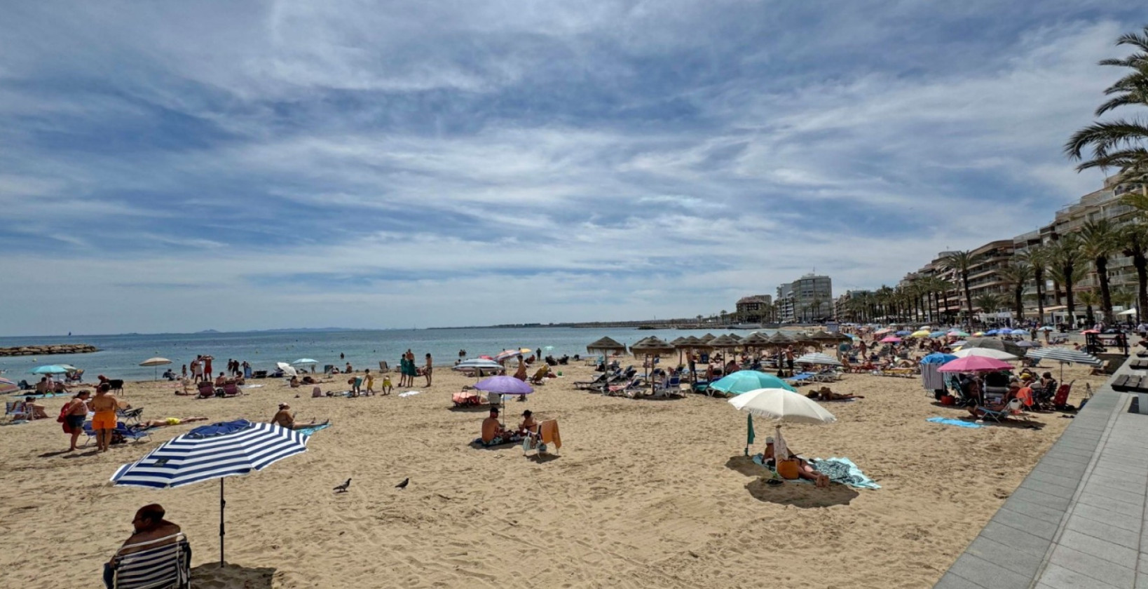 Återförsäljning - Lägenhet / lägenhet - Orihuela Costa - Torrevieja