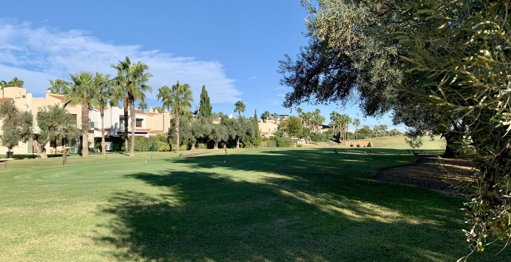 Nueva construcción  - Bungalow - San Javier - Roda Golf