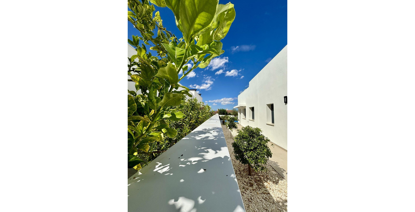 Nueva construcción  - Chalet - Benijofar - Benijófar