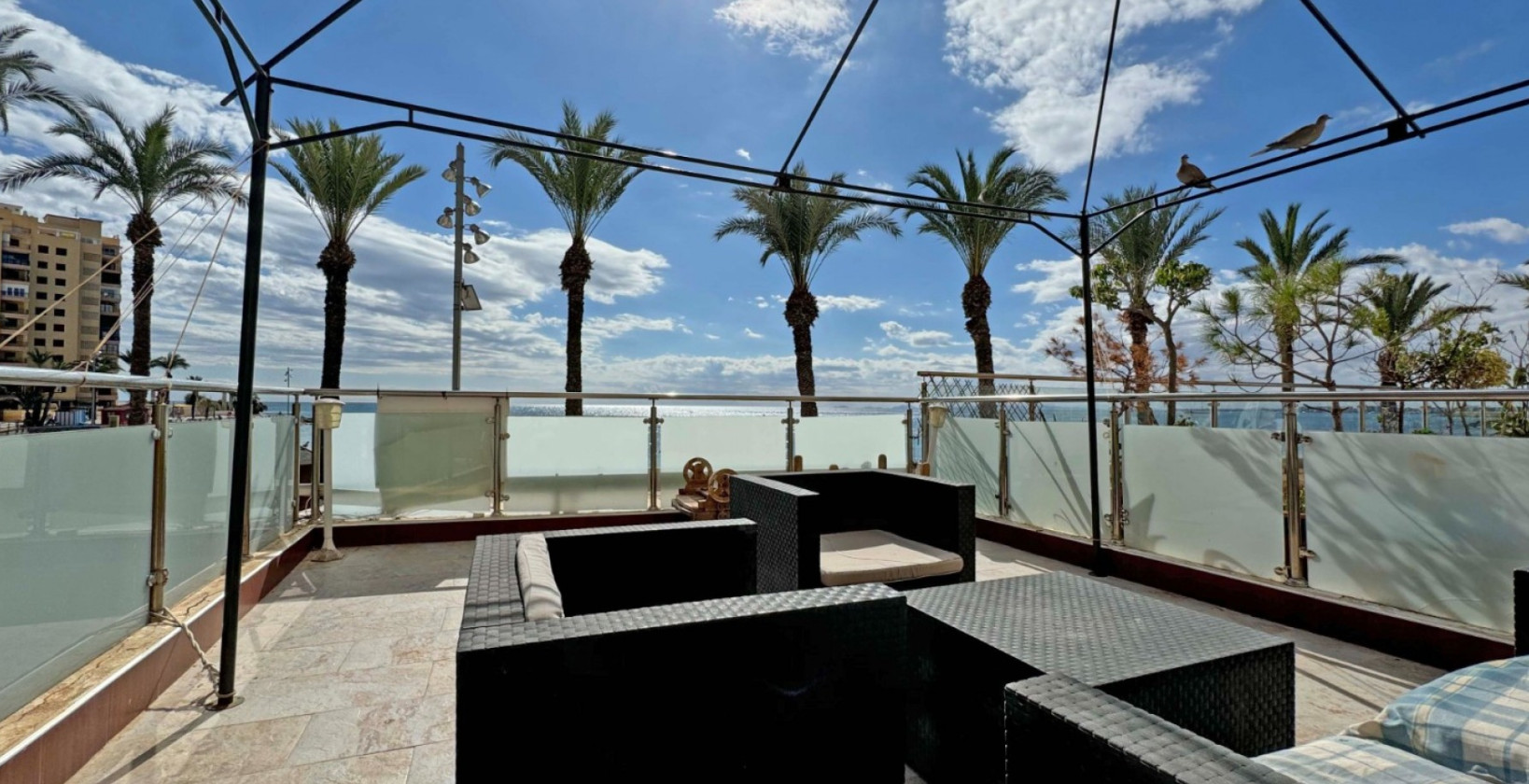 Återförsäljning - Lägenhet / lägenhet - Torrevieja