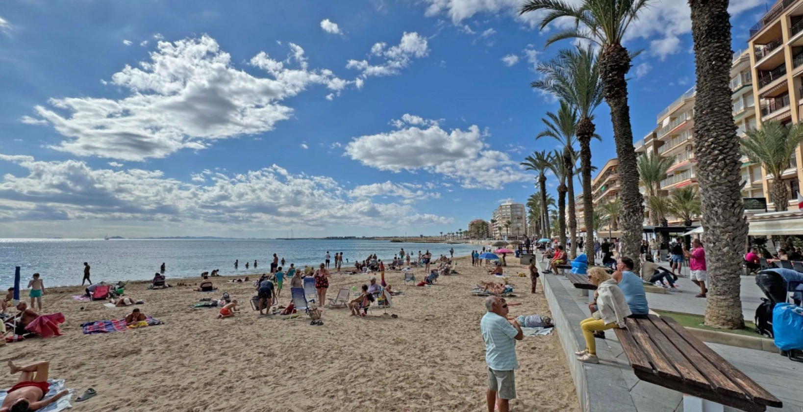 Återförsäljning - Lägenhet / lägenhet - Torrevieja