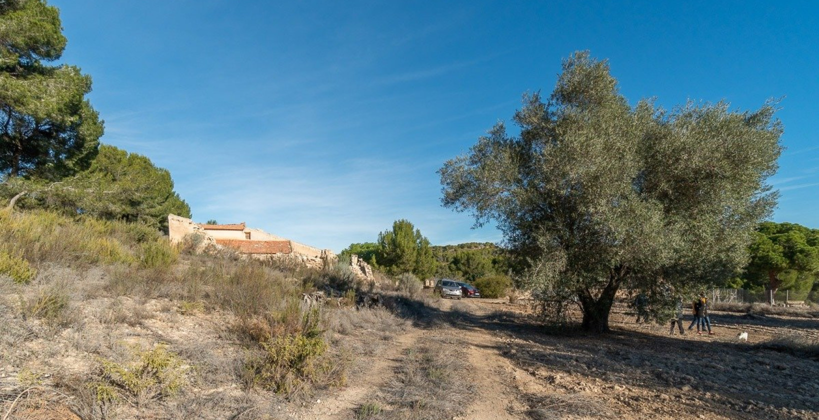 Resale - Country house - Pilar de la Horadada - Pinar de la Perdiz