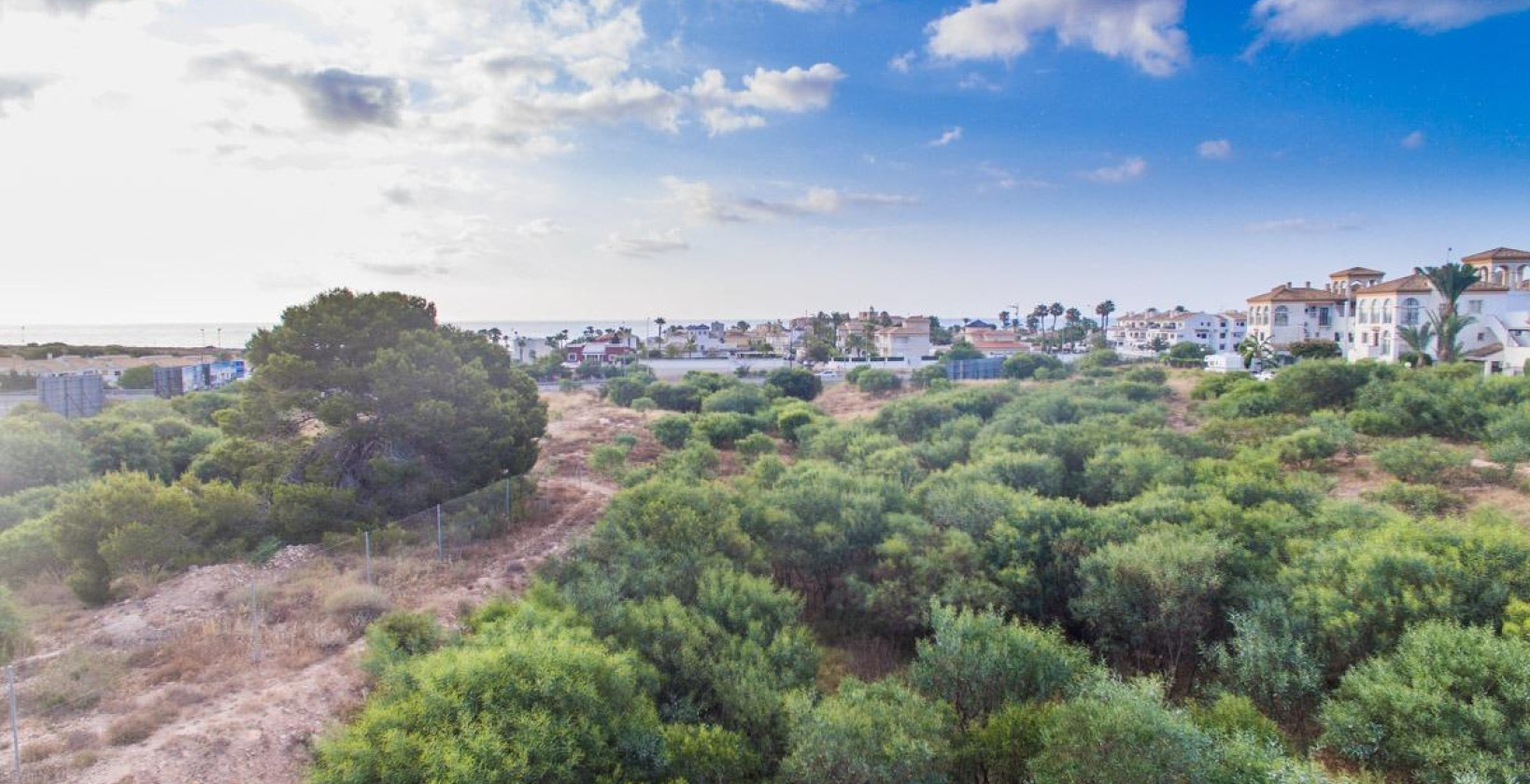 Nybygg - Leilighet / leilighet - Orihuela Costa - Playa Flamenca