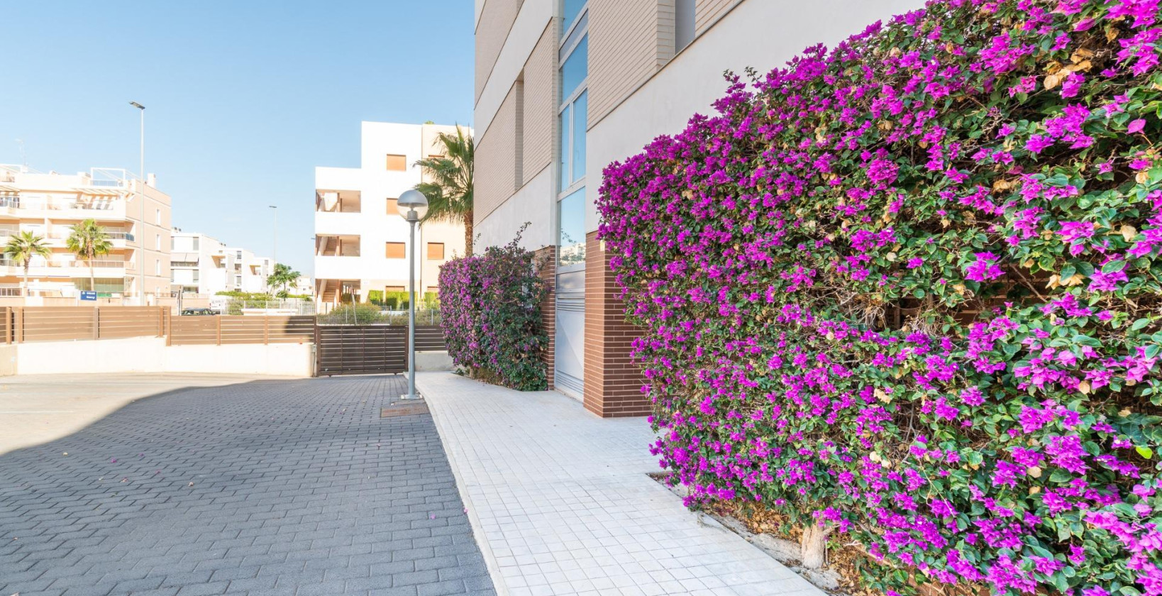 Resale - Apartment / flat - Orihuela Costa - Los Dolses