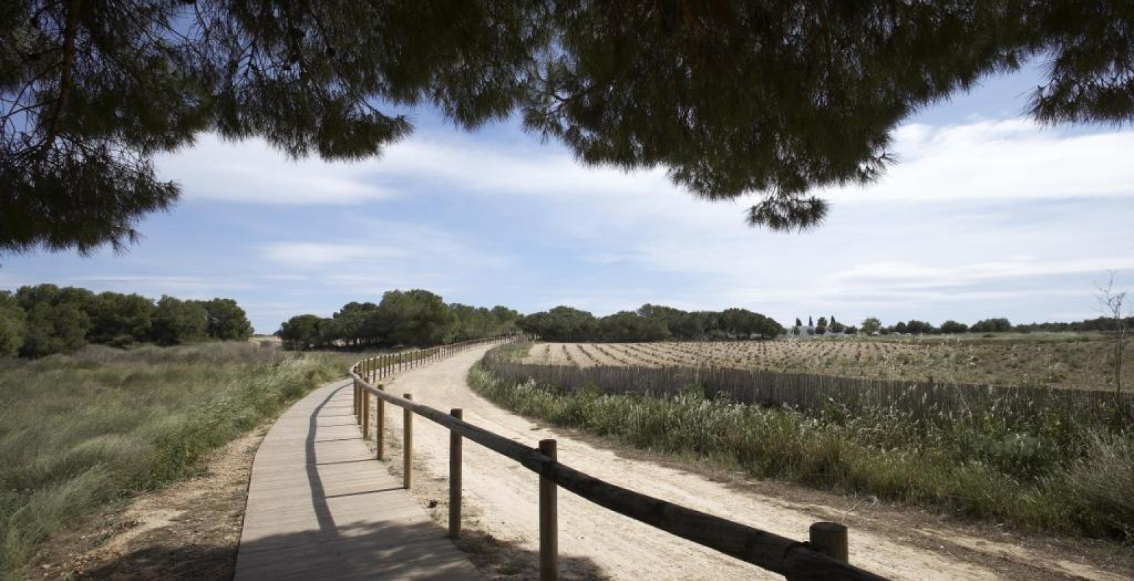 New Build - Apartment / flat - Torrevieja - Altos del Sol