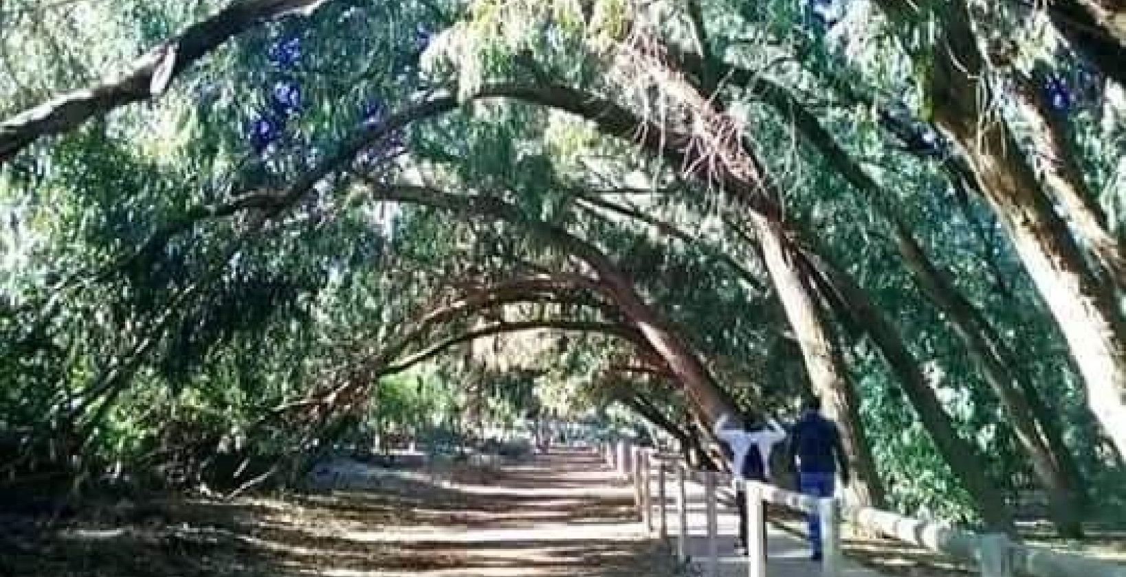 Nueva construcción  - Apartamento / piso - Torrevieja - Altos del Sol