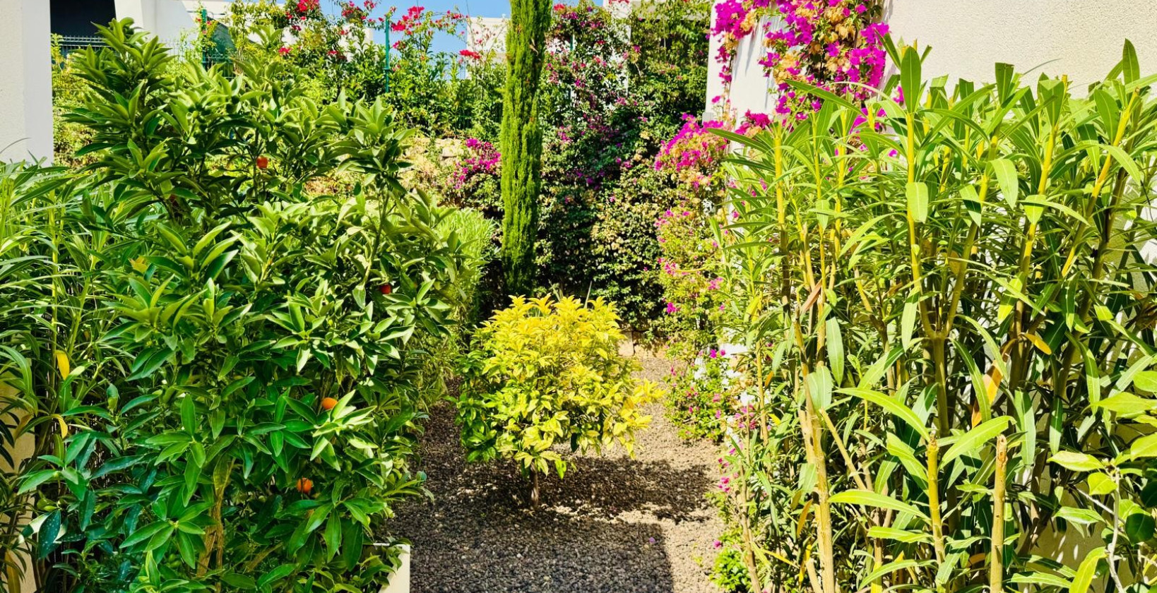 Resale - Villa - Algorfa - La Finca Golf