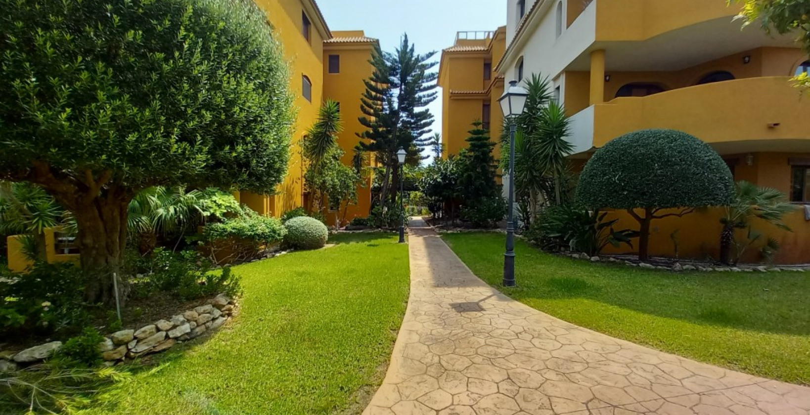 Reventa - Apartamento / piso - Punta Prima