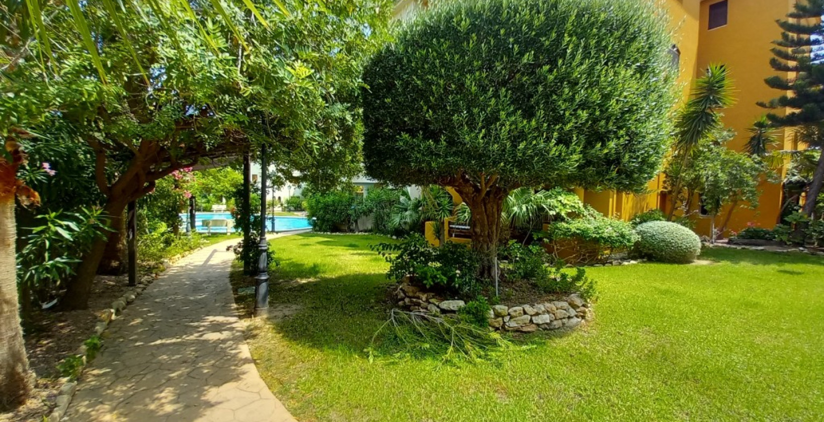 Reventa - Apartamento / piso - Punta Prima