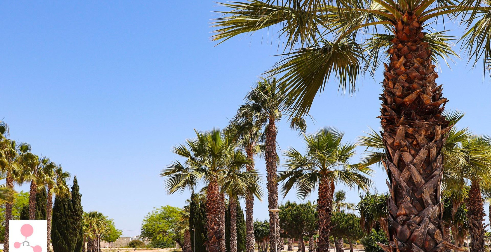 New Build - Villa - San Fulgencio - La Escuera