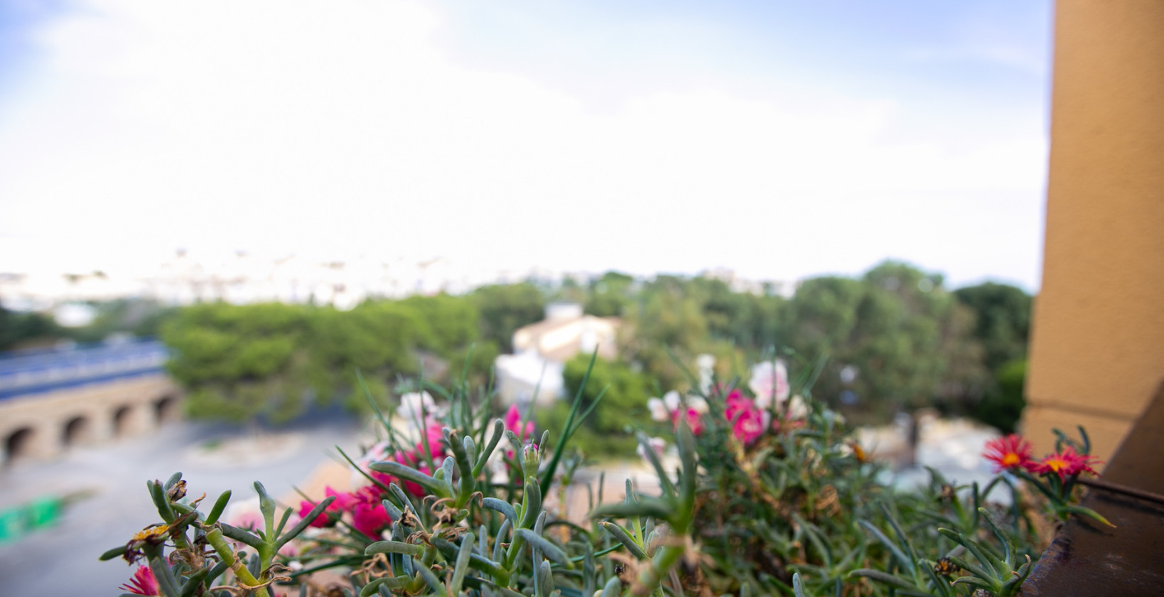 Resale - Apartment / flat - La Zenia - Beachside