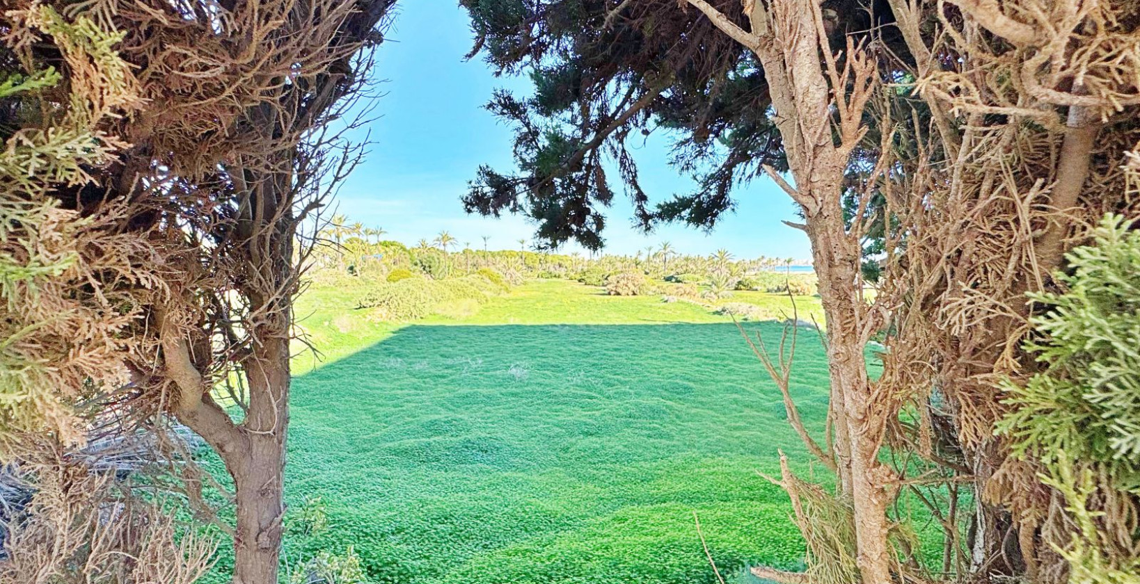 Resale - Apartment / flat - Torrevieja - Rocio del mar