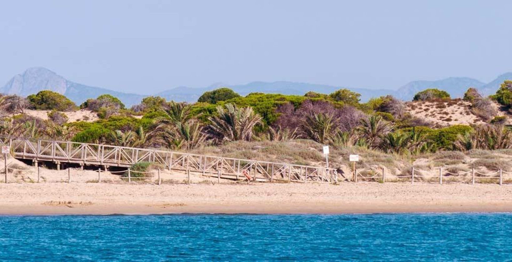 Nybygg - Leilighet / leilighet - Guardamar del Segura - Pueblo