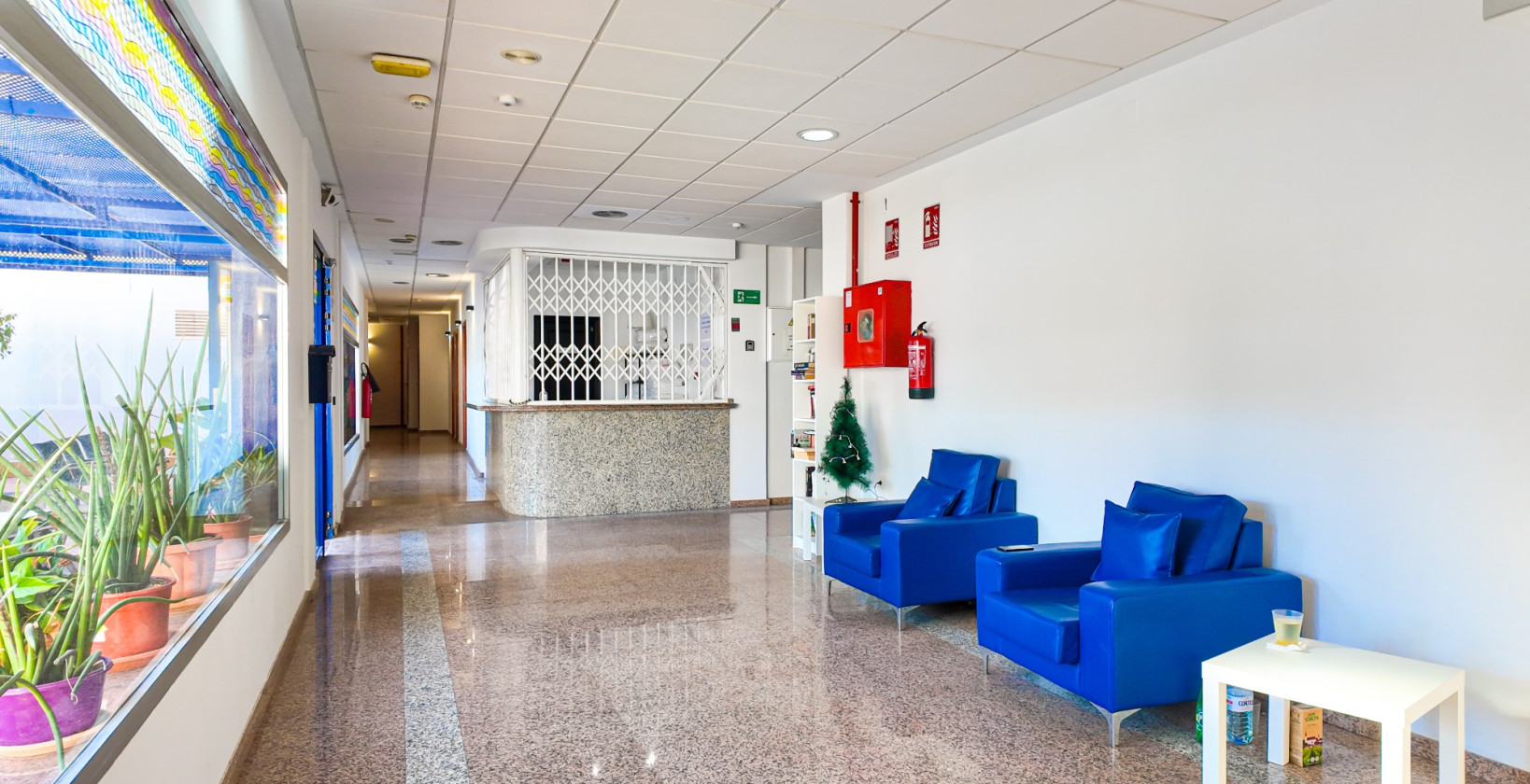 Bruktbolig - Apartments - Orihuela Costa - Cabo Roig