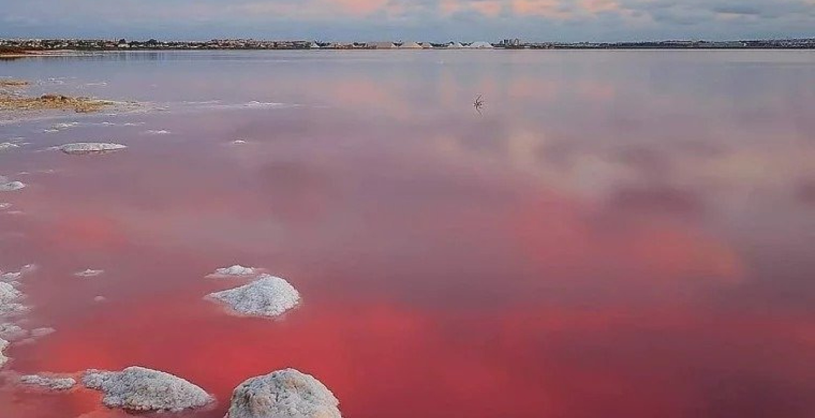 Nybygg - Leilighet / leilighet - Torrevieja - Lago Jardín II
