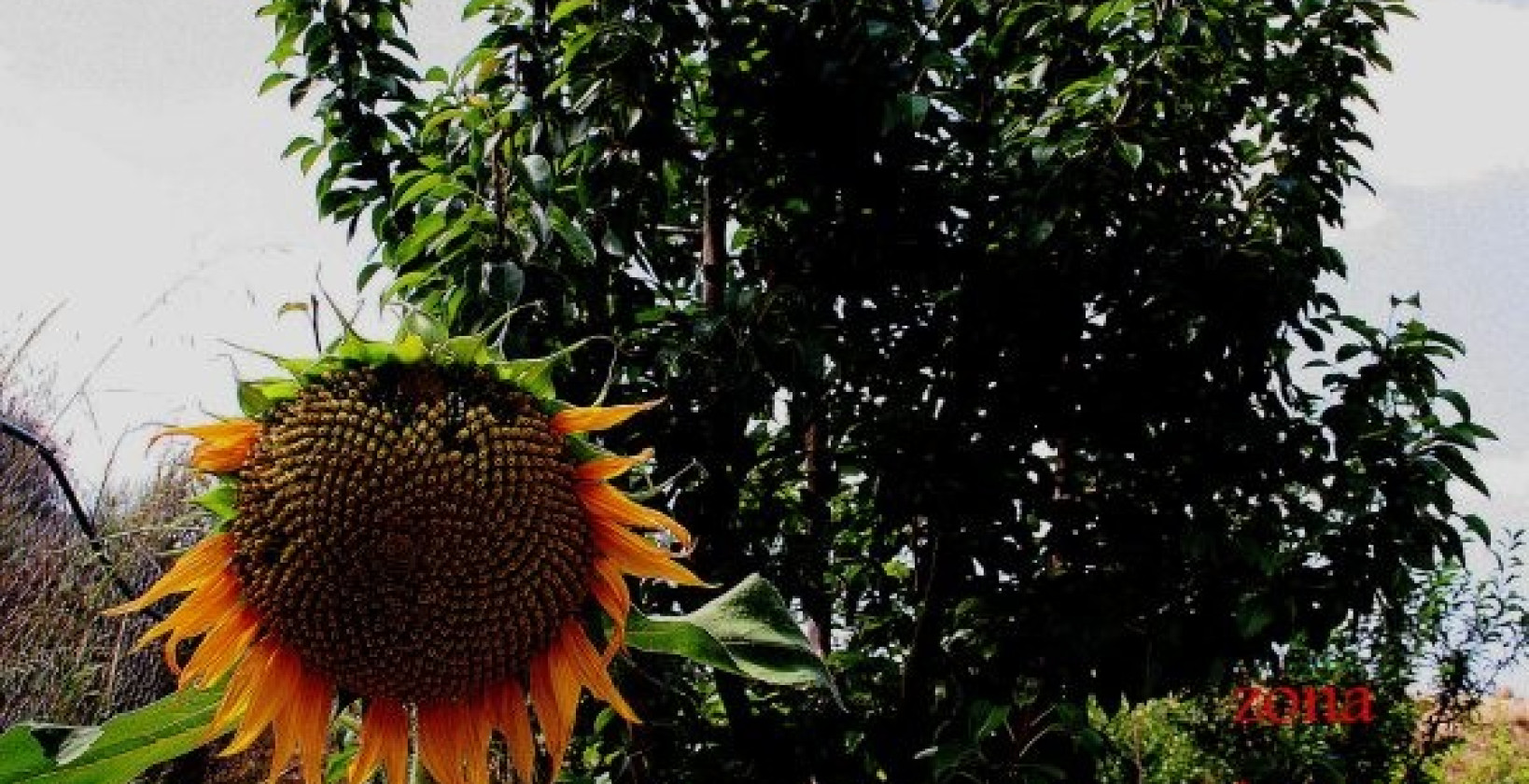 Reventa - Chalet - Gea Y Truyols