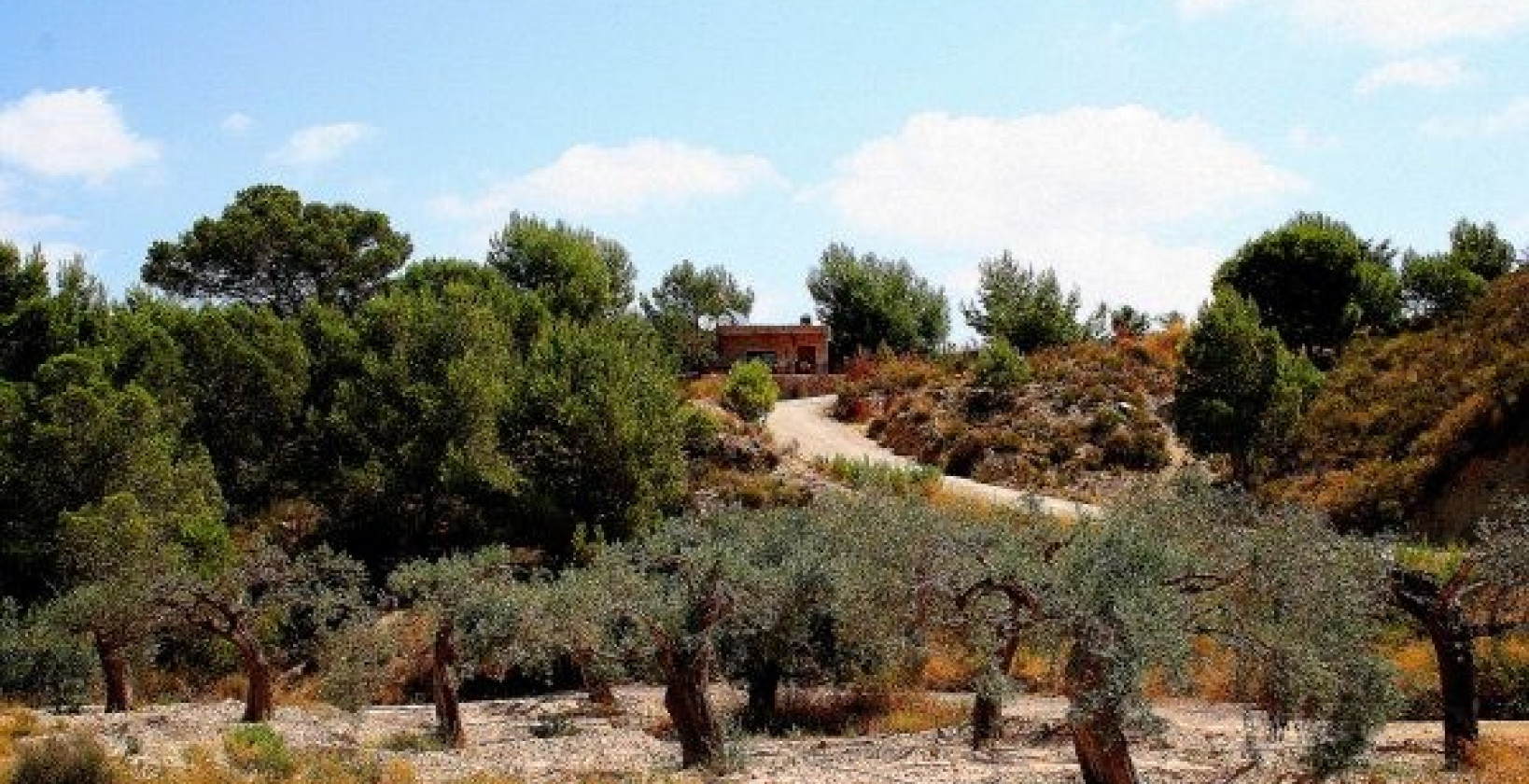 Reventa - Chalet - Gea Y Truyols