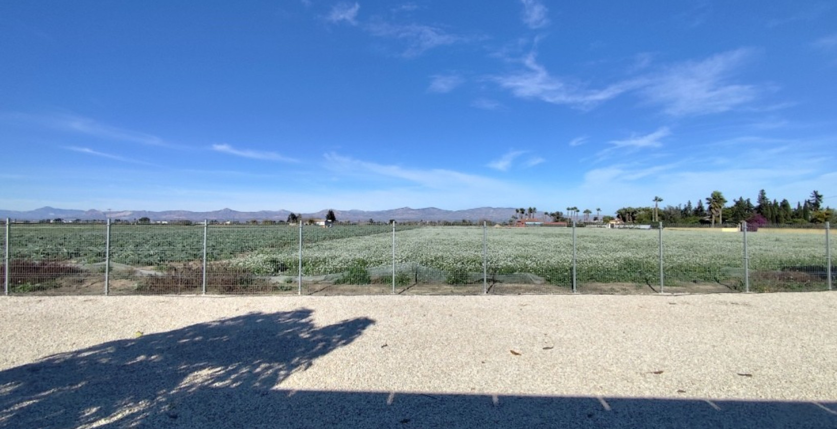 Bruktbolig - Villa - El Mudamiento