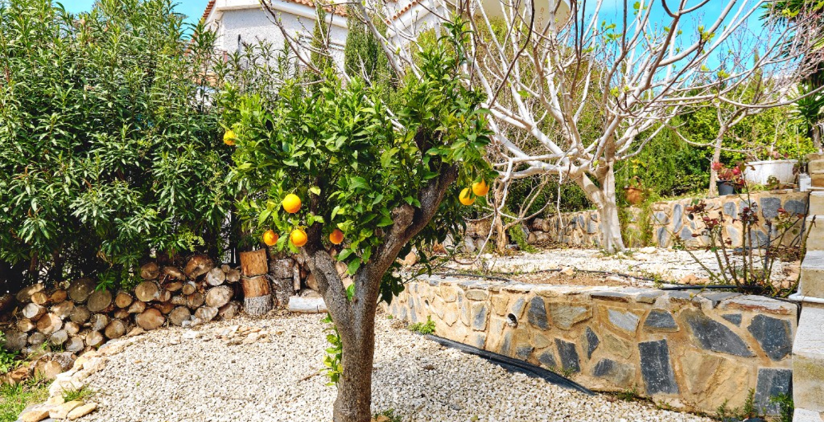 Reventa - Chalet - Dehesa de Campoamor