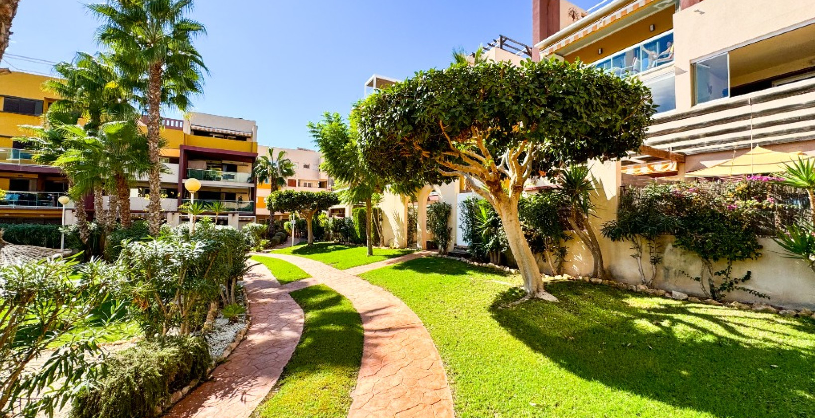 Resale - Apartment / flat - Playa Flamenca
