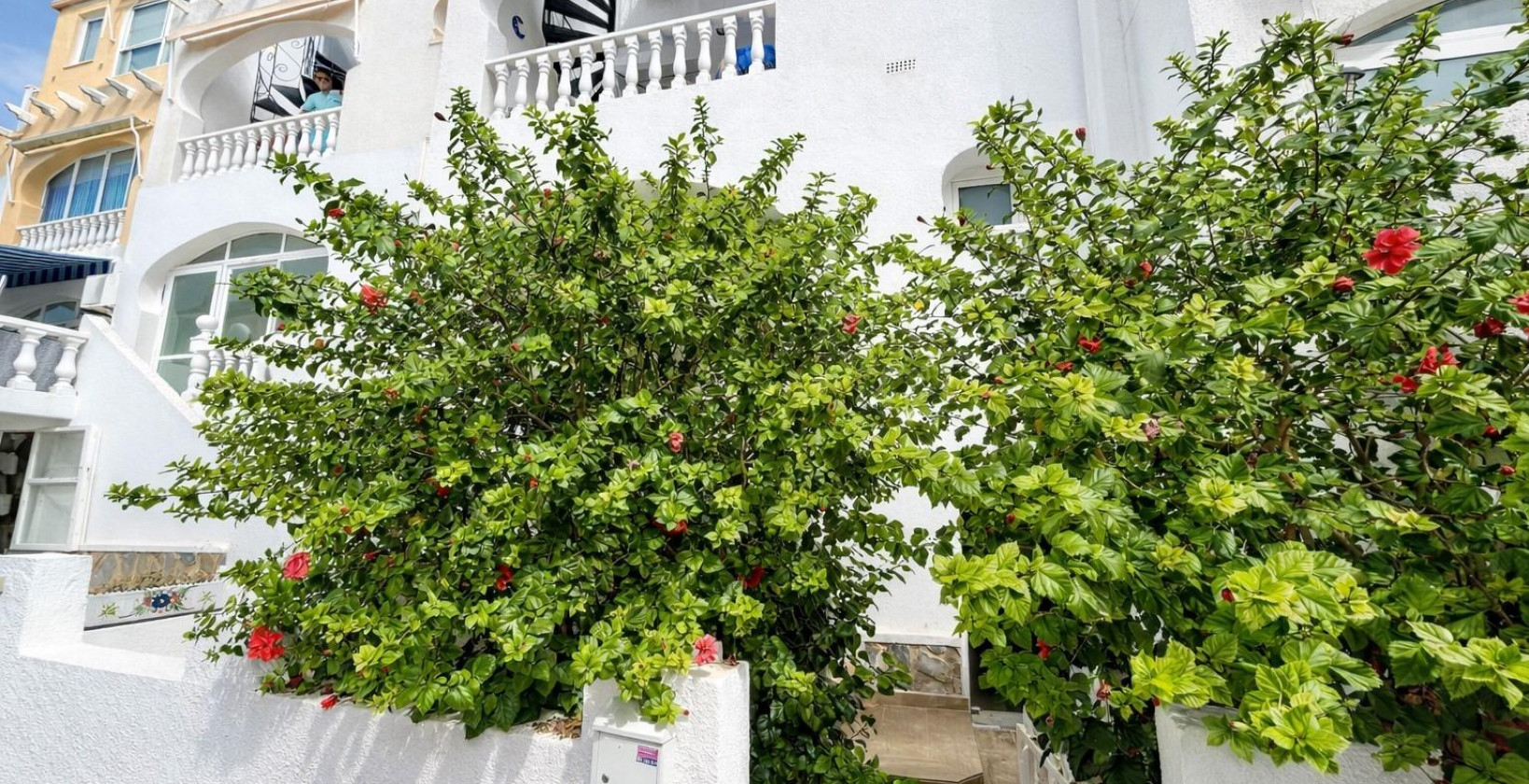 Återförsäljning - Lägenhet / lägenhet - San Miguel de Salinas - Las filipinas
