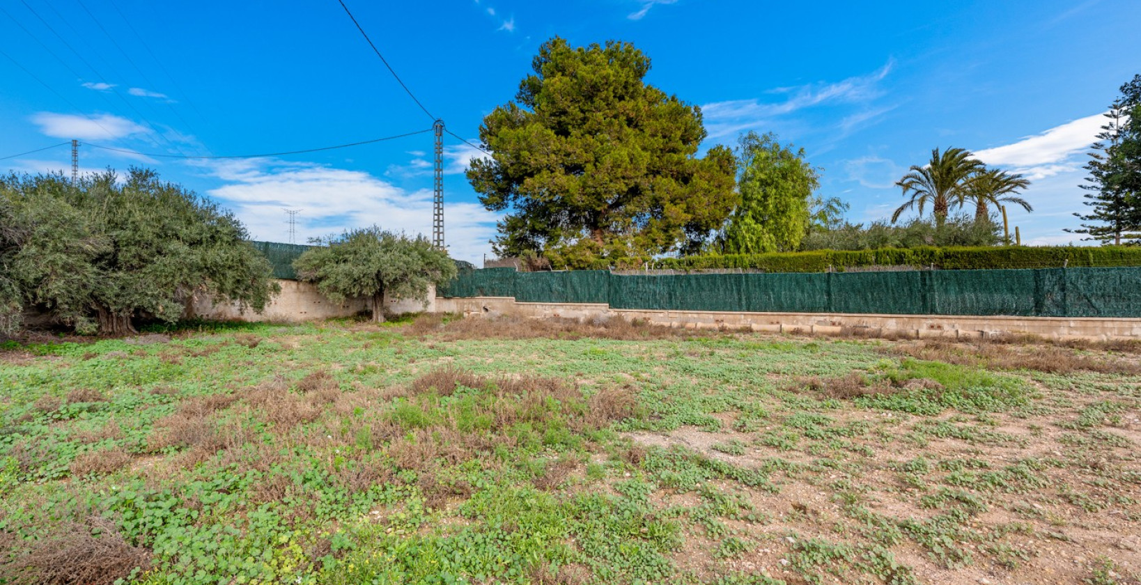 Resale - Villa - Elche/Elx