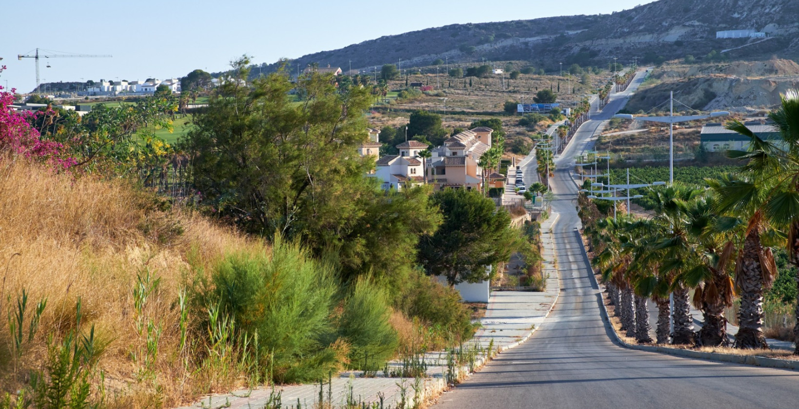 Resale - Land - Algorfa (montemar) - Algorfa