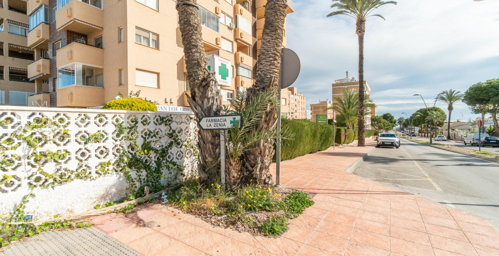 Long time Rental - Commercial - Orihuela Costa - La Zenia