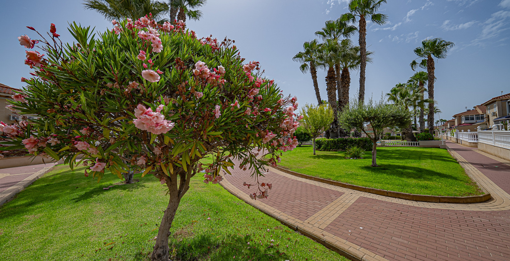 Resale - Apartment / flat - Playa Flamenca - Zenia Mar