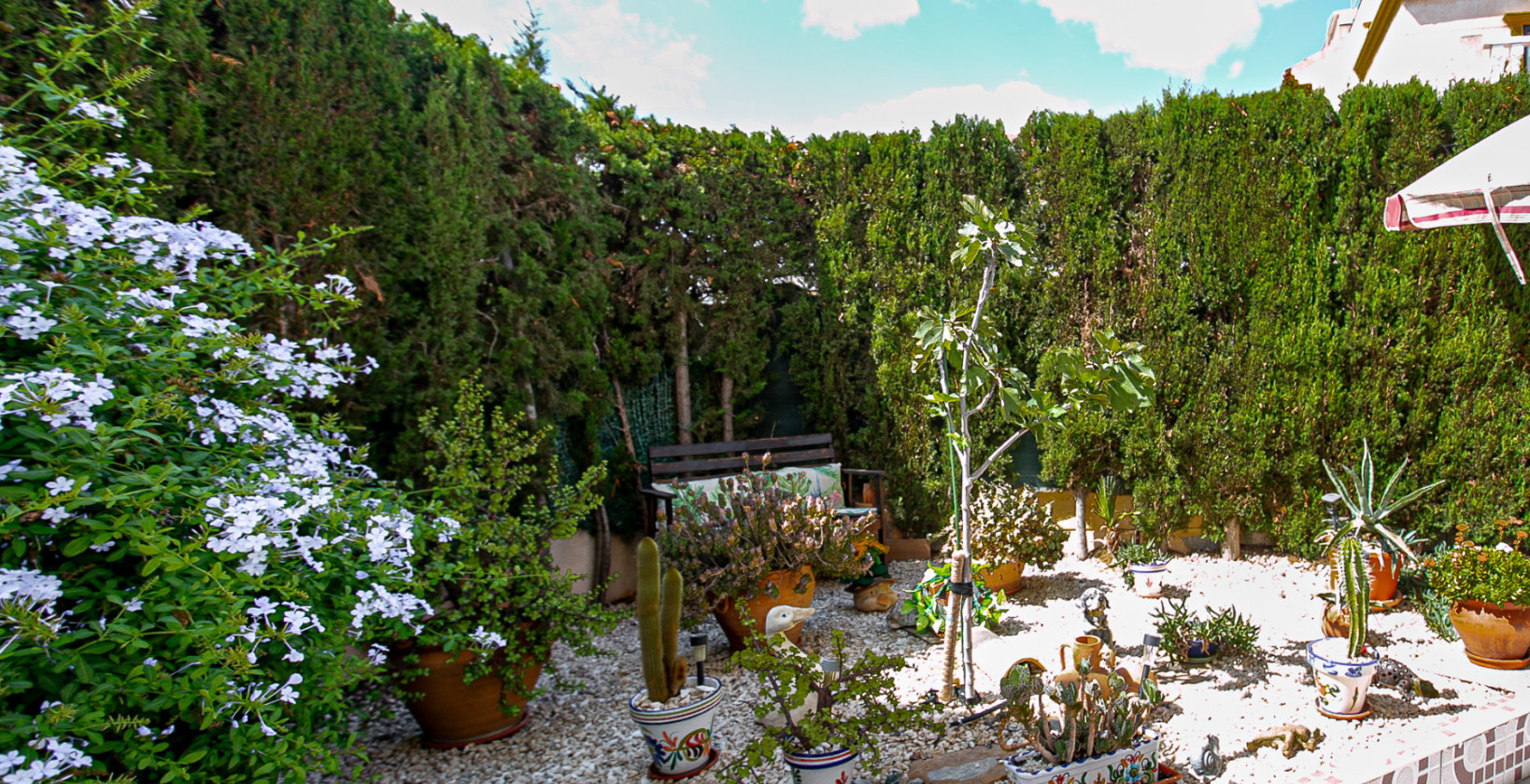 Reventa - Apartamento / piso - Playa Flamenca