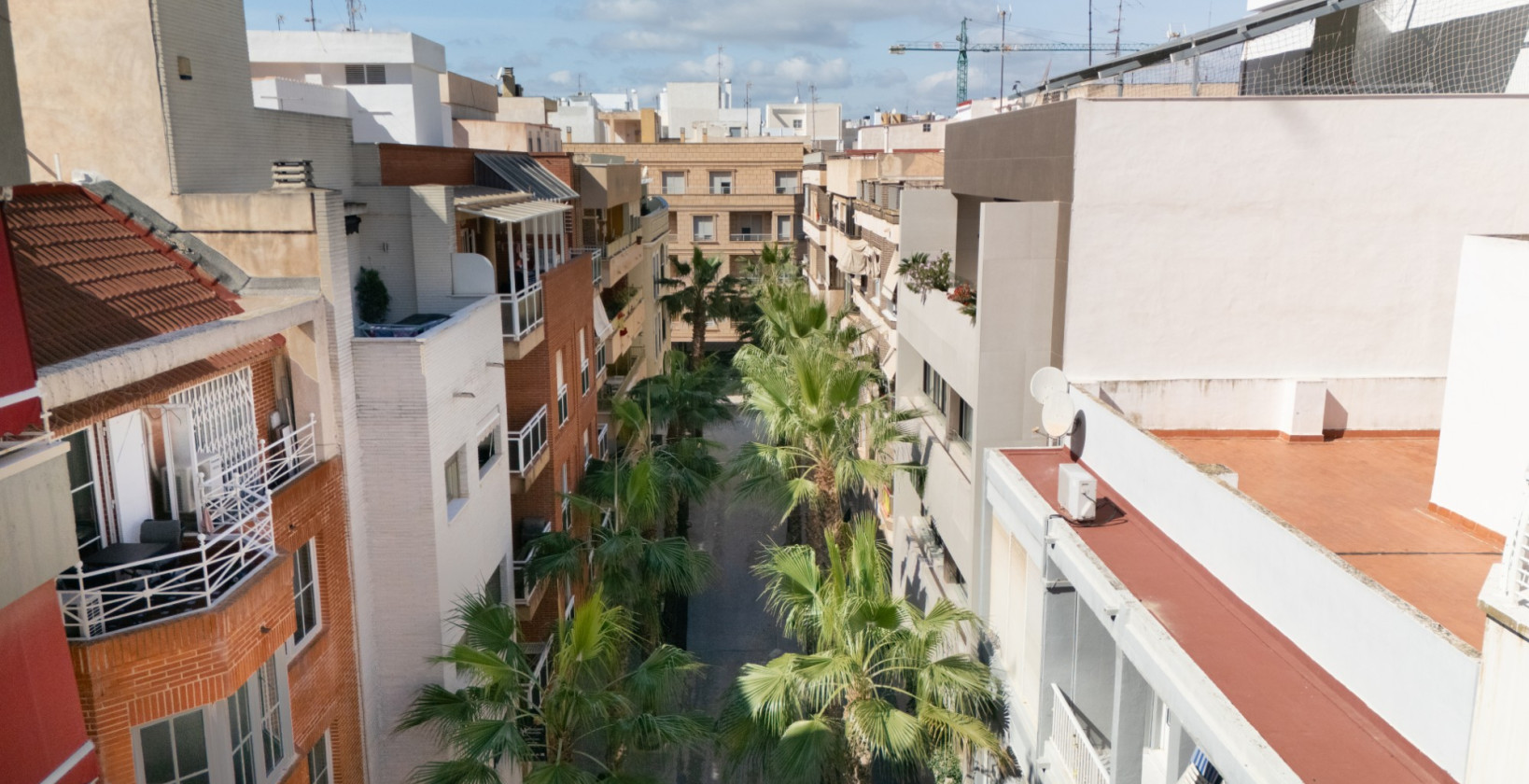 Reventa - Apartamento - Torrevieja