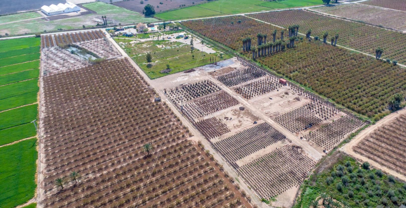 Återförsäljning - Finca - Albatera