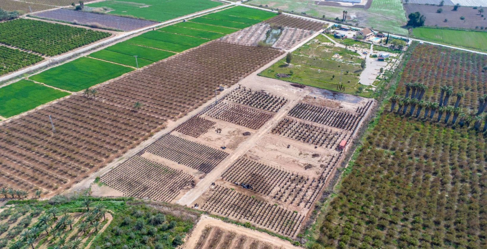 Återförsäljning - Finca - Albatera