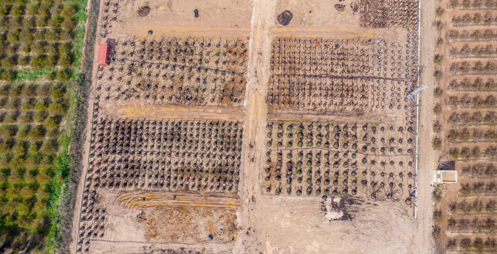 Återförsäljning - Finca - Albatera