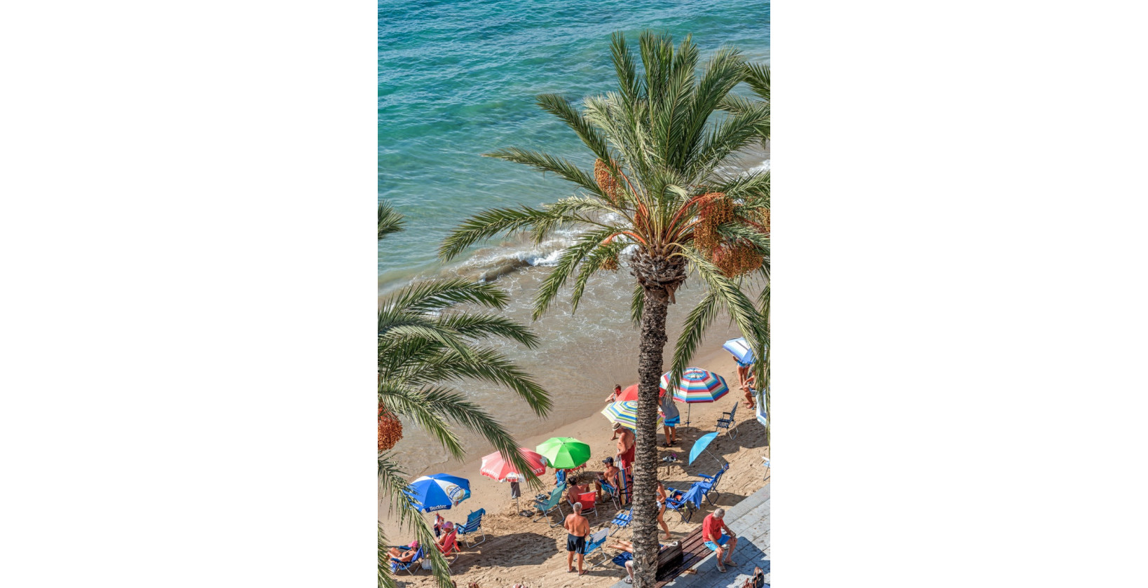 Reventa - Apartamento / piso - Torrevieja - torrevieja