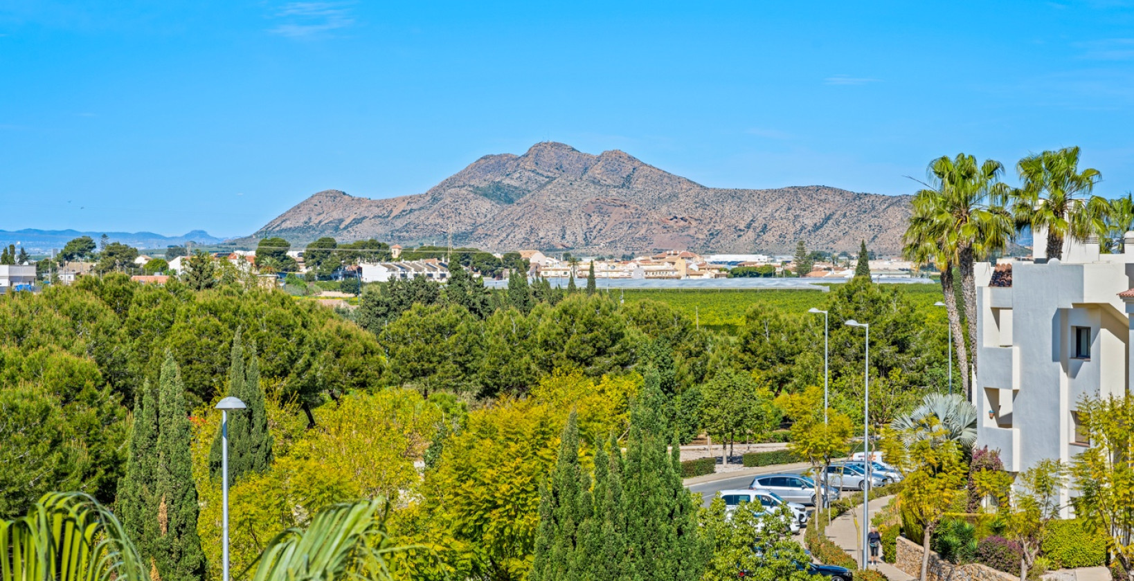 Bruktbolig - Apartments - San Javier - Roda Golf