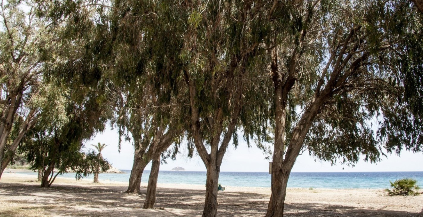 Nybyggnation - Lägenhet / lägenhet - Villajoyosa - Playa Les Torres