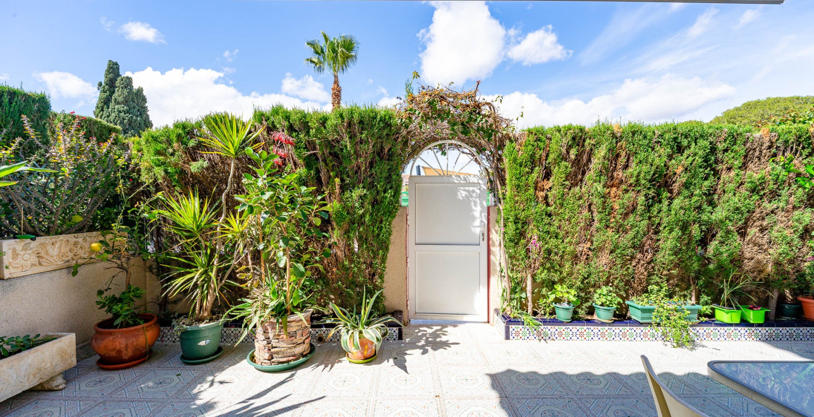 Återförsäljning - Apartamento - Torrevieja - Punta Prima