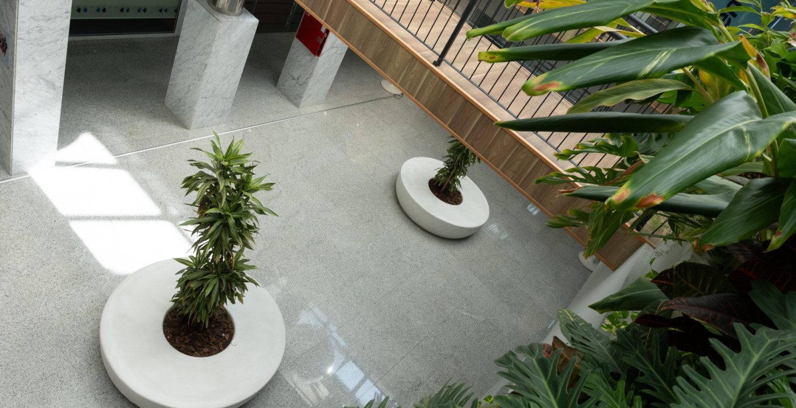 Alquiler a largo plazo - Comercial - Orihuela Costa - Playa Flamenca