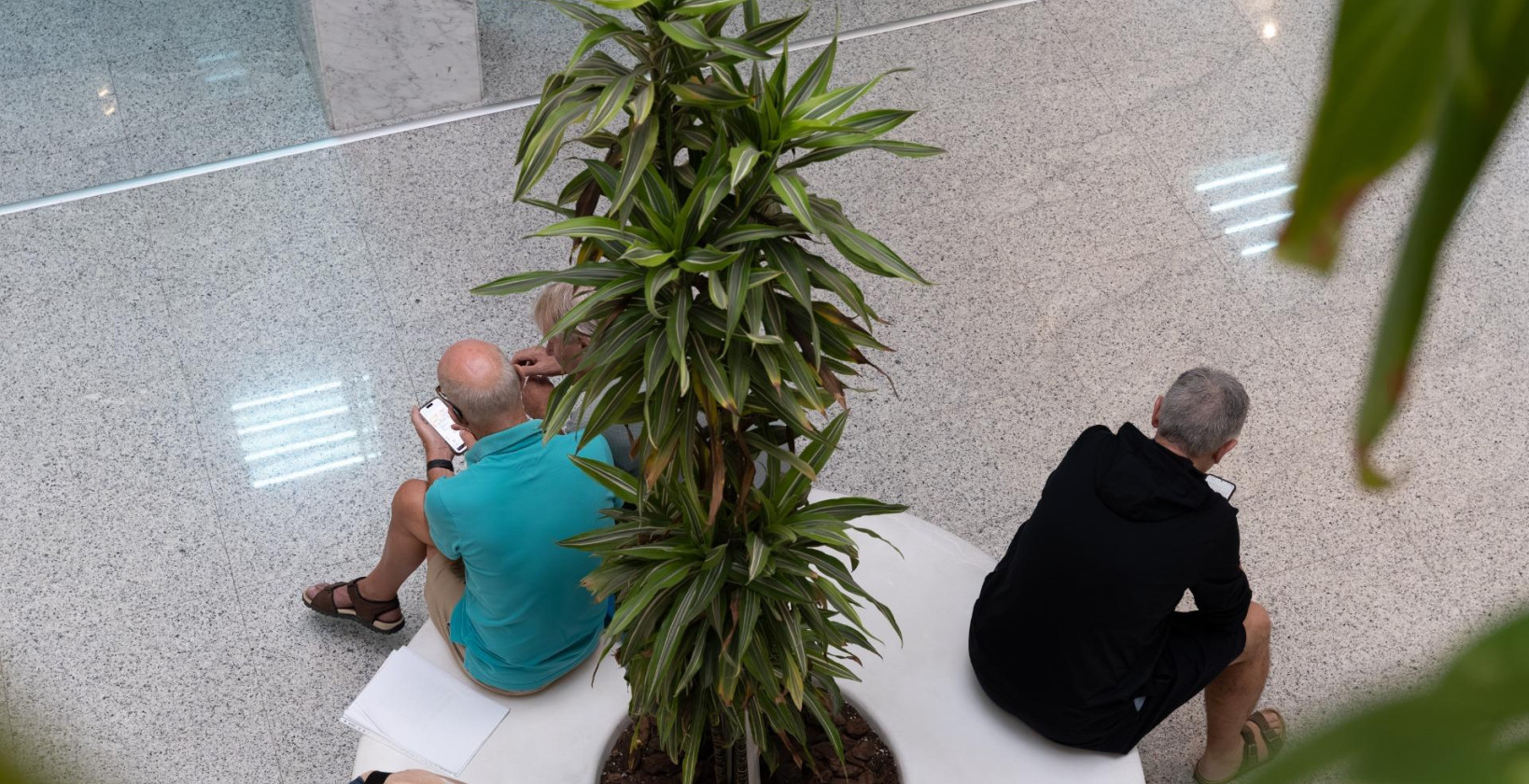 Alquiler a largo plazo - Comercial - Orihuela Costa - Playa Flamenca