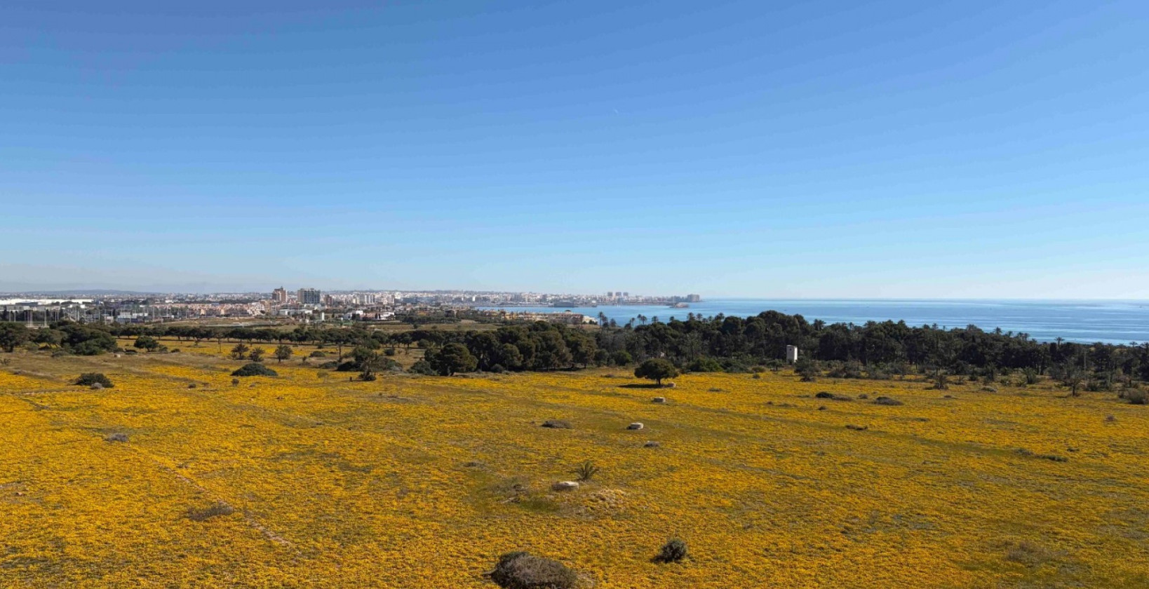 Reventa - Apartamento / piso - Orihuela Costa - Punta Prima