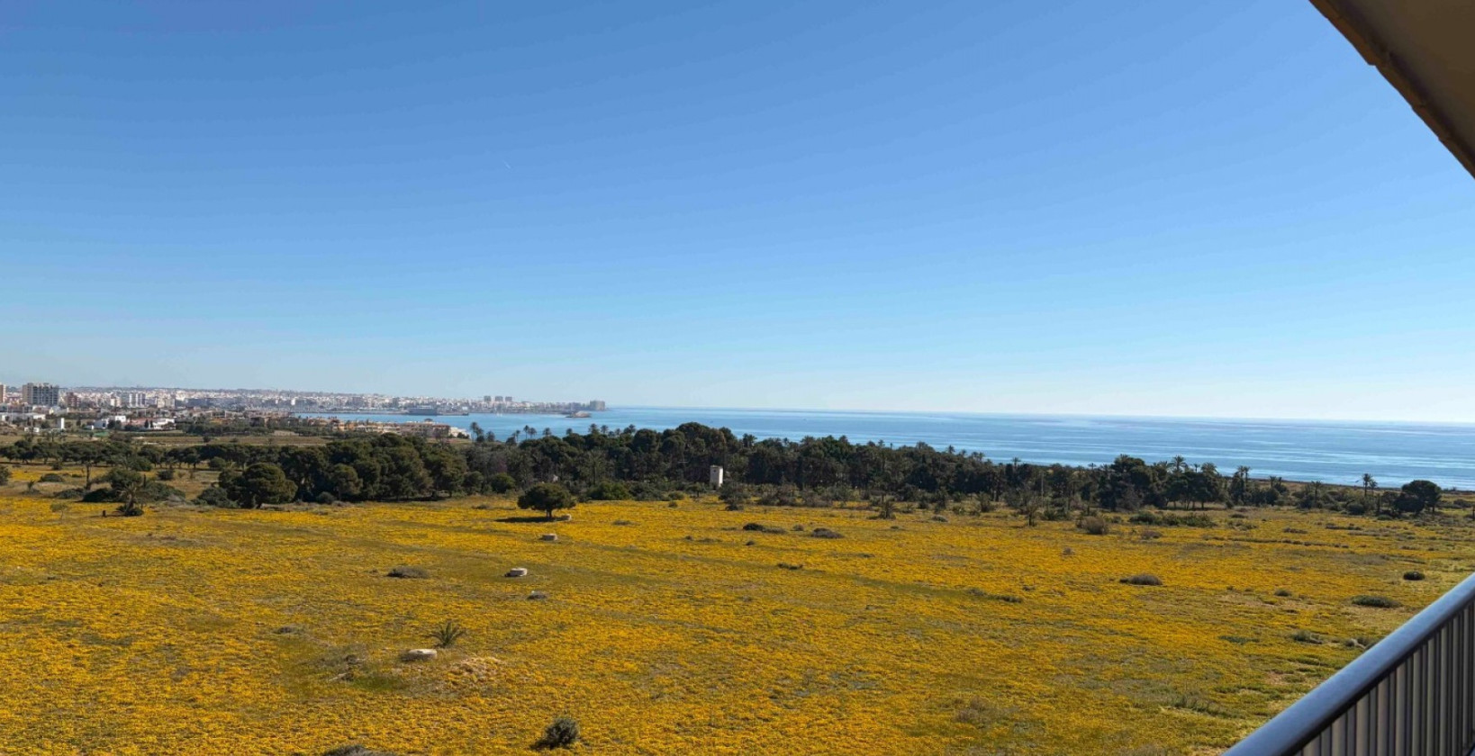 Reventa - Apartamento / piso - Orihuela Costa - Punta Prima