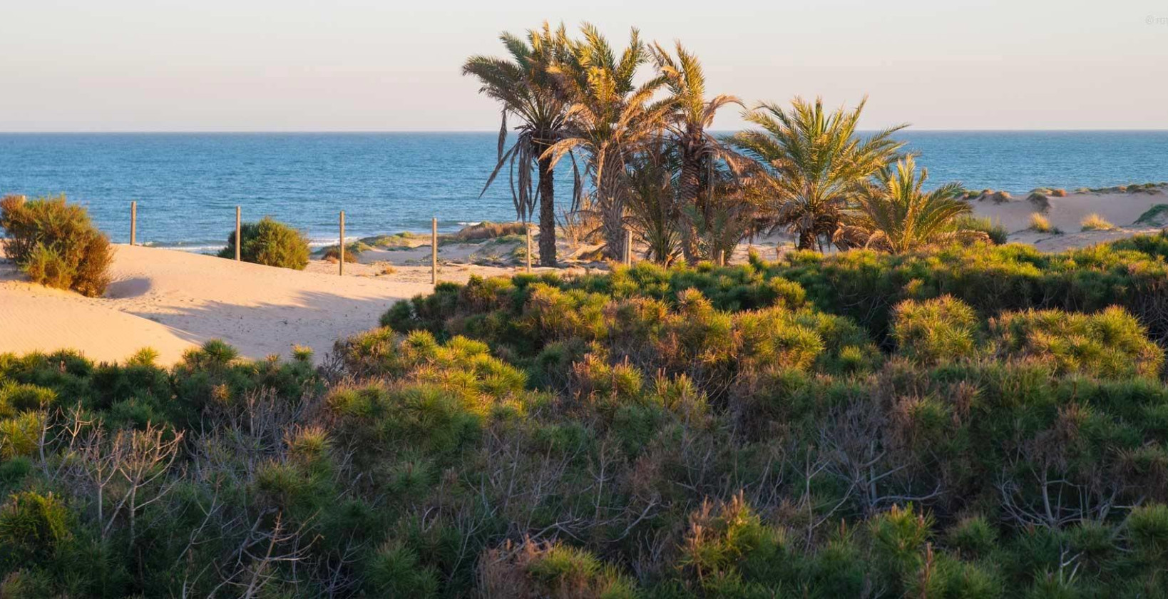 Nybyggnation - Takvåning - Guardamar del Segura - Avda del Puerto