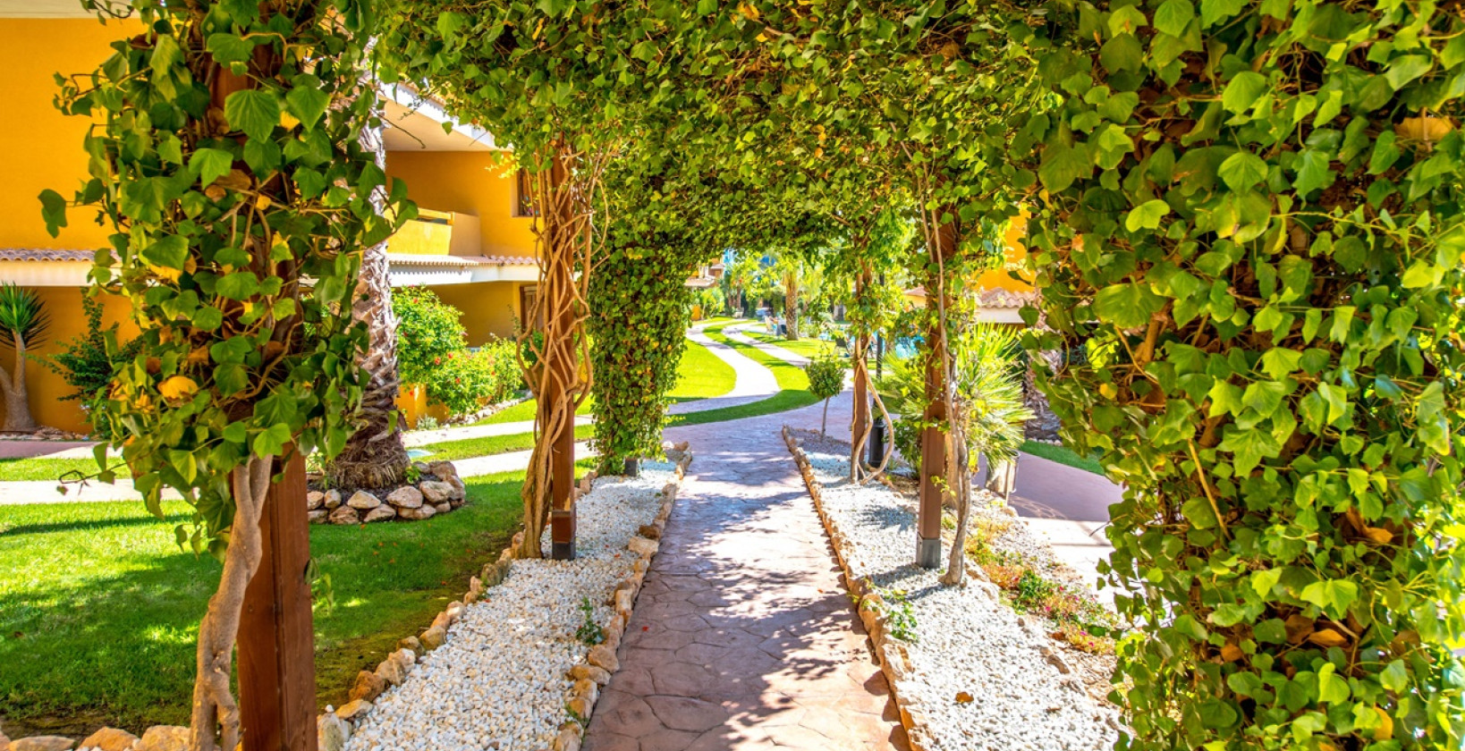 Återförsäljning - Lägenhet / lägenhet - Torrevieja - Punta Prima